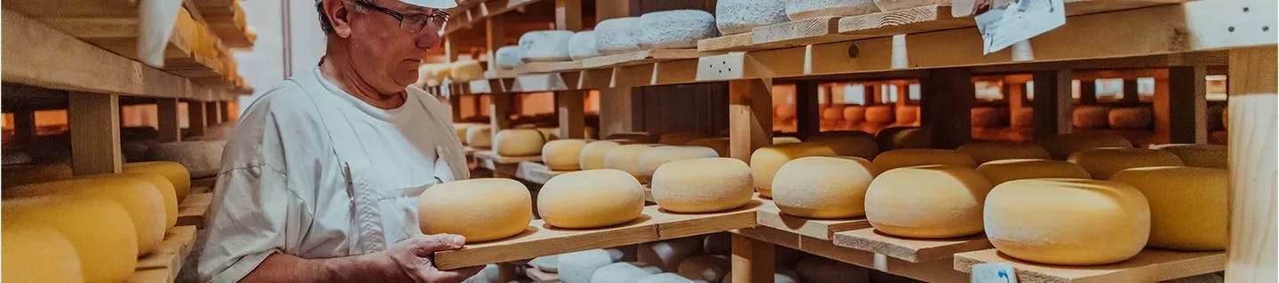 Accelerated digital transformation for a leading cheese producer