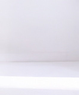 The Objective The Objective