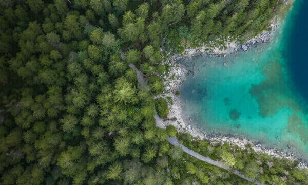 Empowering Nature’s Guardians The Habitats Trust Empowering Nature’s Guardians The Habitats Trust