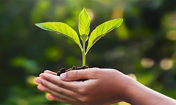 Climate Risk Assessment Solution