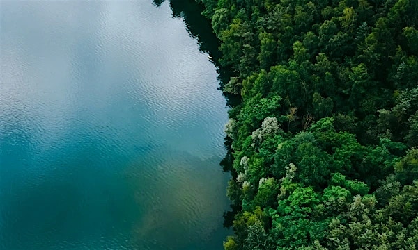 Modernized complaint management system for US state natural resources agency