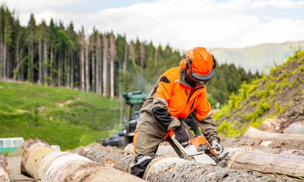 Benchmark-driven cloud optimization: Intel’s role in a seamless Azure migration