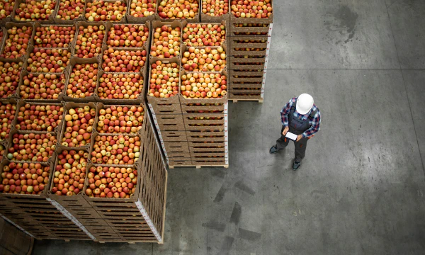 Getting every food order right through smarter warehouse system testing