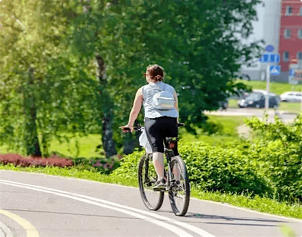 Navigating a Sustainable Path Navigating a Sustainable Path