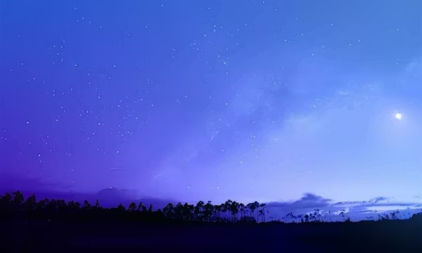 持続可能性戦略