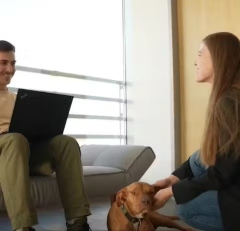 Furry friends and fresh ideas are a winning combination Furry friends and fresh ideas are a winning combination