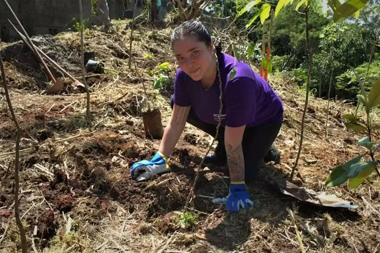 Evento de voluntariado para reflorestamento em São Paulo Evento de voluntariado para reflorestamento em São Paulo