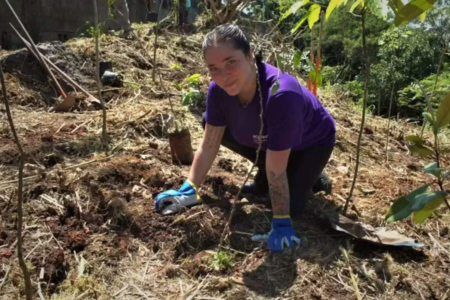 Evento de voluntariado para reflorestamento em São Paulo