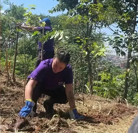 HCLTech's CSR - Plantation Initiative