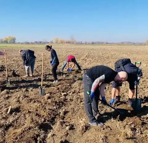 Tree Planting in Bulgaria - HCLTech's CSR