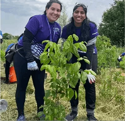 HCLTech's CSR - Tree Planting Initiative