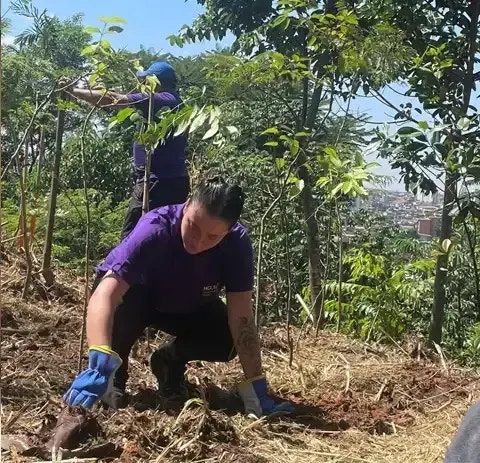 HCLTech's CSR- Plantation Initiative 3 HCLTech's CSR- Plantation Initiative 3