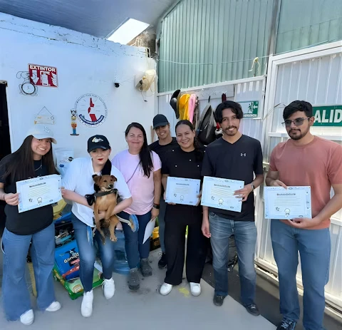 HCLTechies au Mexique participant à des activités de bien-être animal