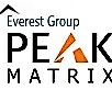 Leader for IT Security Service Provider