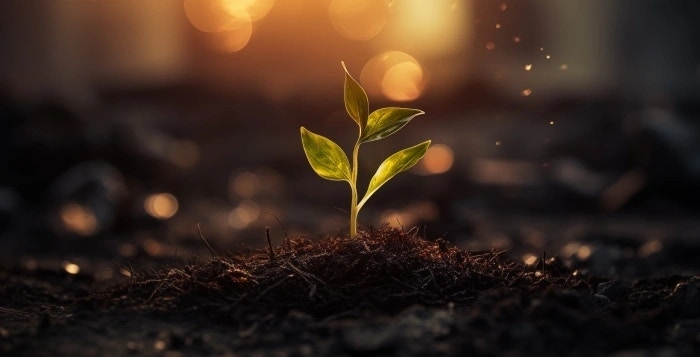 Climate Risk for Businesses: Navigating the challenges of a changing world