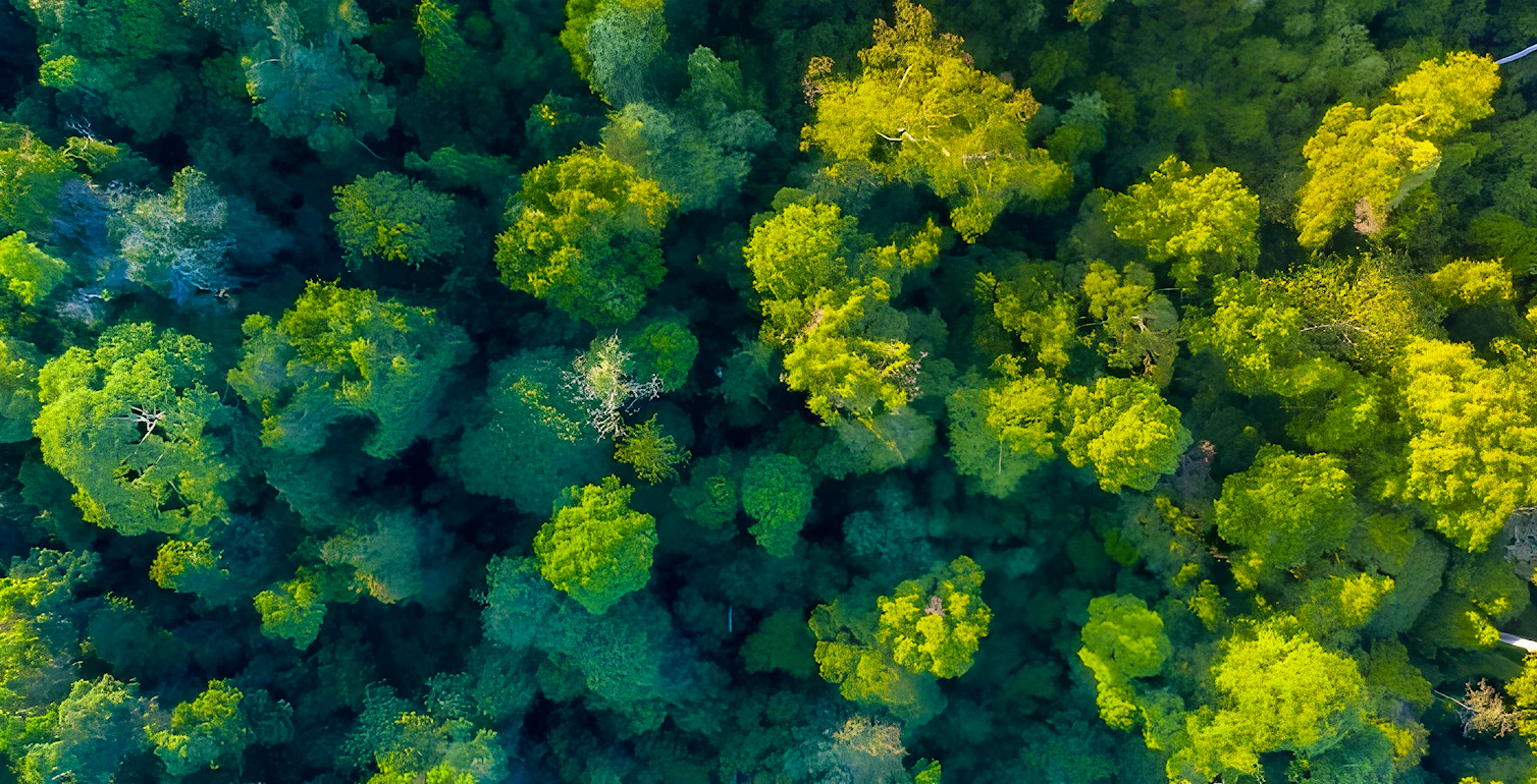 The digital leap: Transforming sustainability in process operations The digital leap: Transforming sustainability in process operations