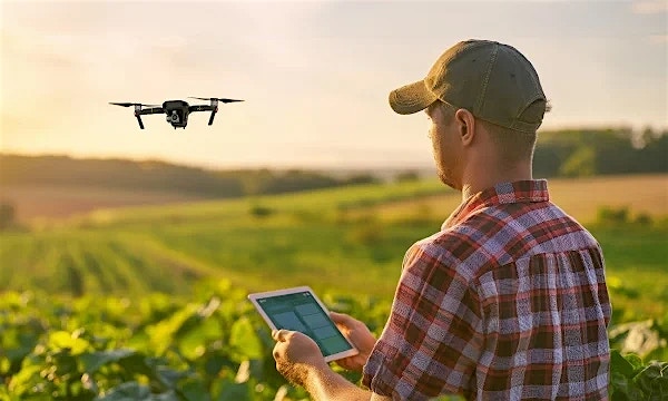 The rise of profitable sustainability: A win-win for businesses and the planet The rise of profitable sustainability: A win-win for businesses and the planet