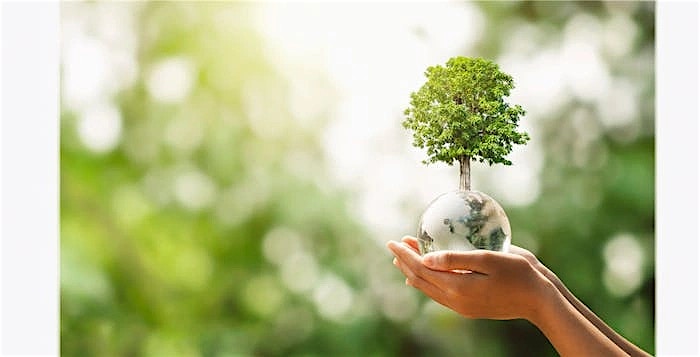 Combating Climate Change with Sustainable Technology Solutions Combating Climate Change with Sustainable Technology Solutions