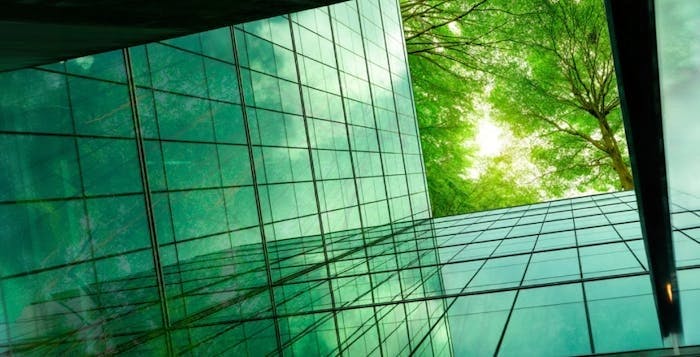 Sustainability in Practice: How companies can go about it