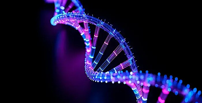 Elevate Perspectives: Transforming healthcare with cloud and AI