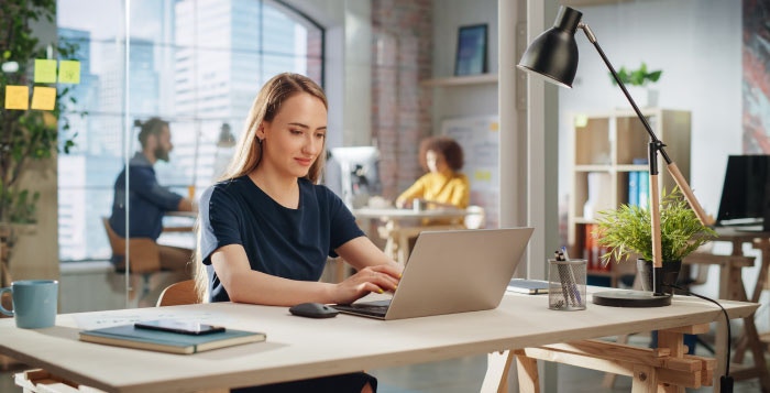 Plugin development for Notepad++