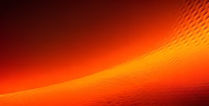 Navigating the Complexity of Modern Networks with a Unified SASE Approach