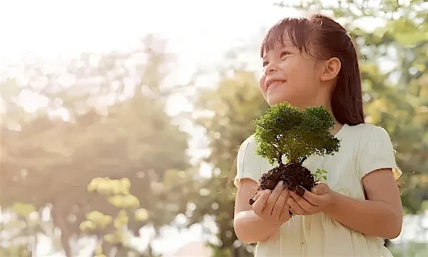 Tech2Sustain