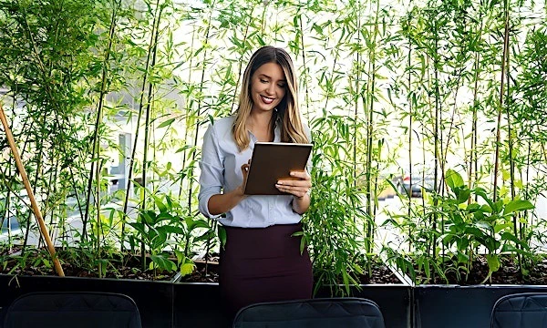 Sustainability Solutions for SAP