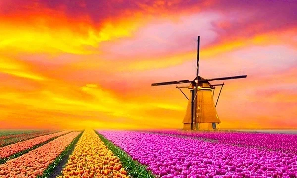 HCLTech Benelux: Supercharging Progress Digital, Engineering and Cloud
