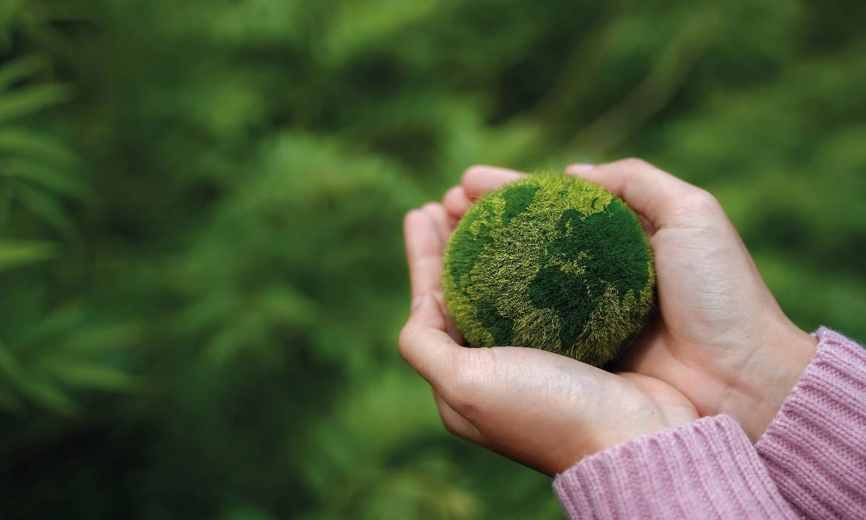 Sustainability