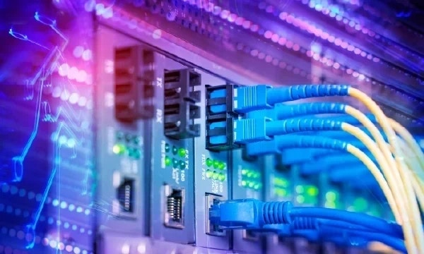 Uniqueness of the AMEA market from a network perspective