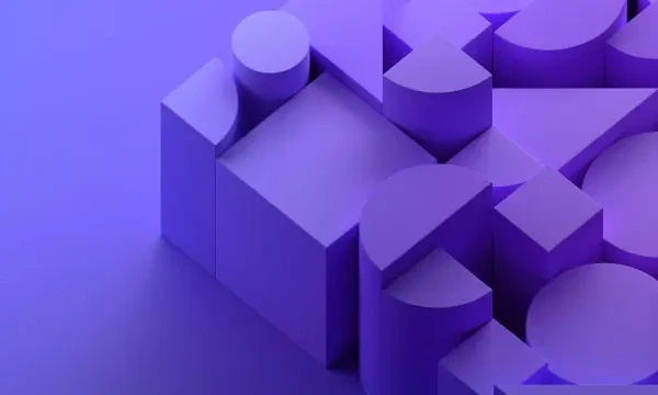 Maximize ROI from your NetSuite investment