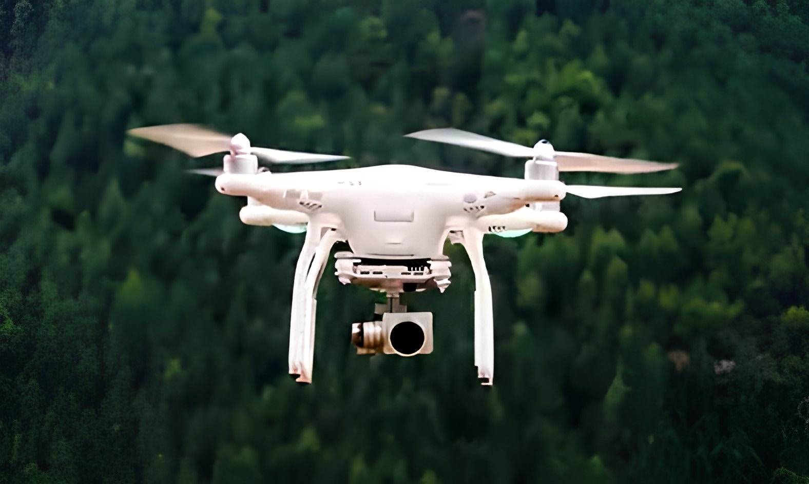 Integrating digital technology and sustainability