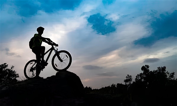 Embedding ESG into your enterprise