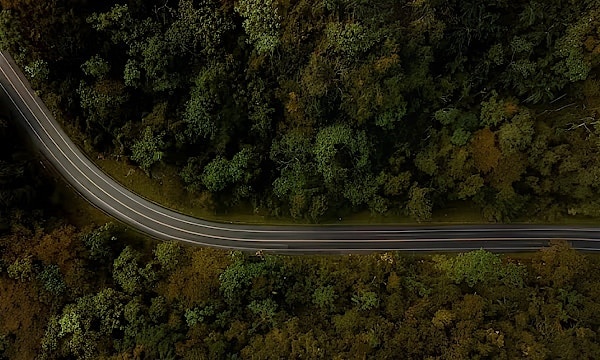 Transforming to net zero