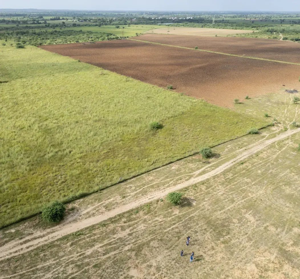 A pasture undergoing restoration in Kutch, Gujarat