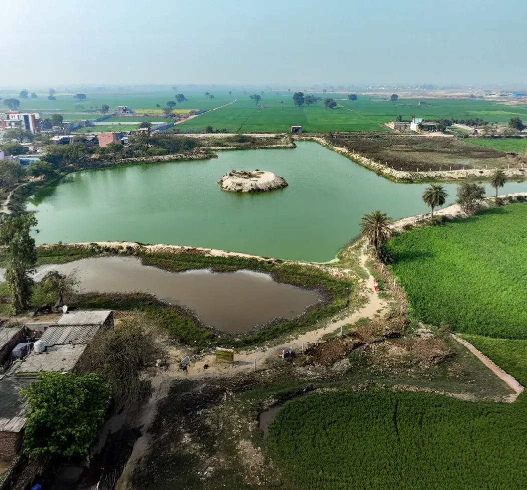 Rejuvenated waterbody at Khandera Girirajpur village, UP