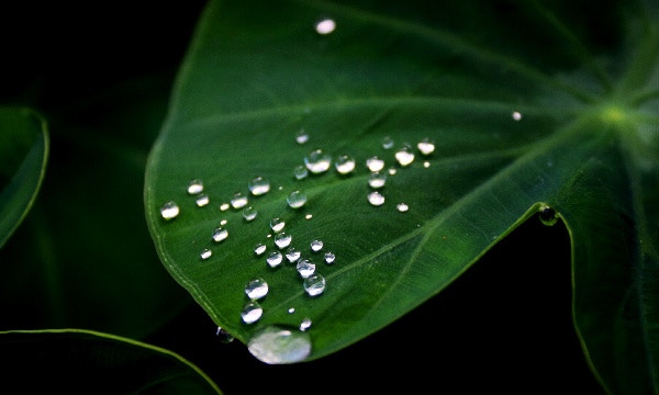 Enhance your water sustainability practices with AquaSphere