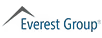 Everest AI and GenAI Services PE