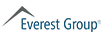 Everest AI and GenAI Service PE