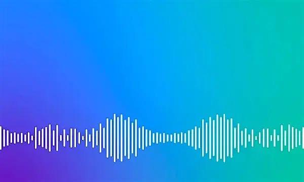 Gartner VoC