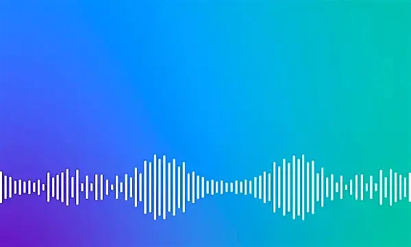 Gartner VoC