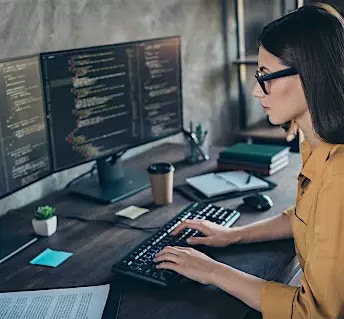 Sustainable IT and Culture