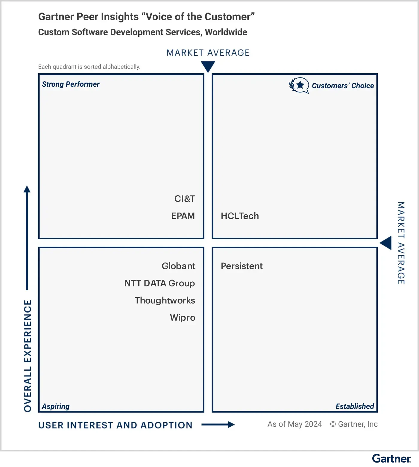 Voice of the Customer for Custom Software Development Services