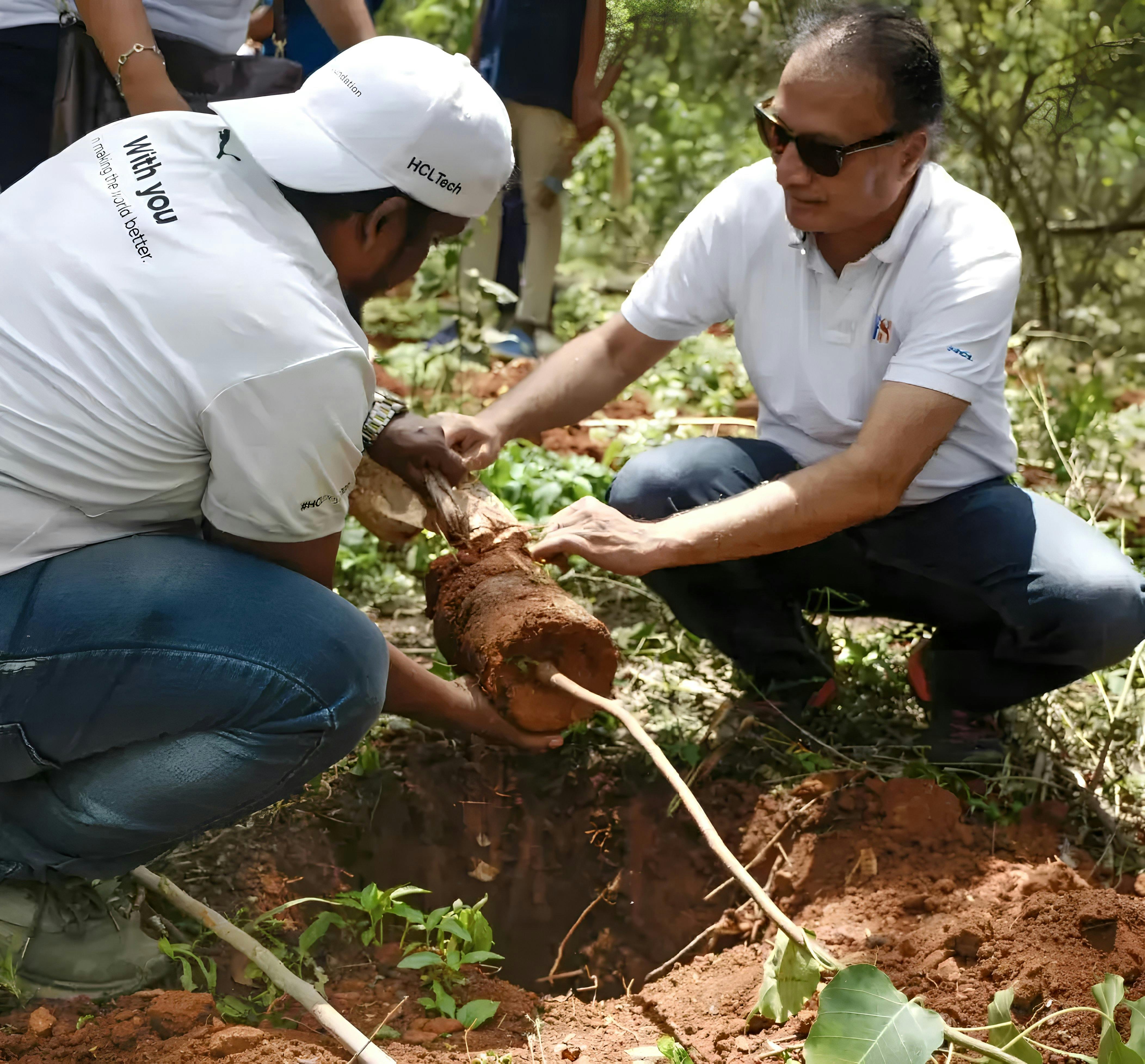 Plantation drive by HCLTechies