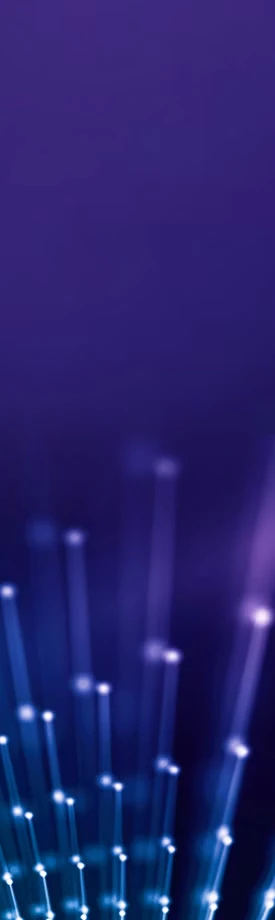 Domain-Hardened Across Every Major Industry
