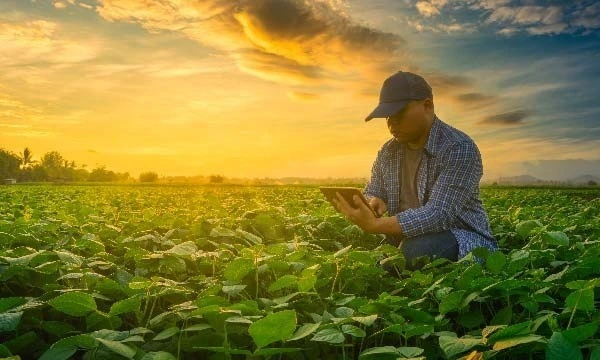 HCLTech earns leadership rating from CDP for climate change actions