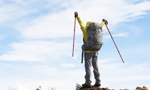 HCLTech named a Leader in Everest Group’s 2024 Lending Services PEAK Matrix®