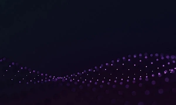 Network Security Maturity Workshop Network Security Maturity Workshop