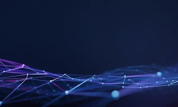 VIM Support Guide VIM Support Guide